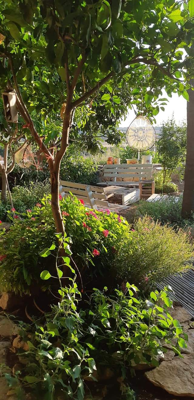 The house and the garden