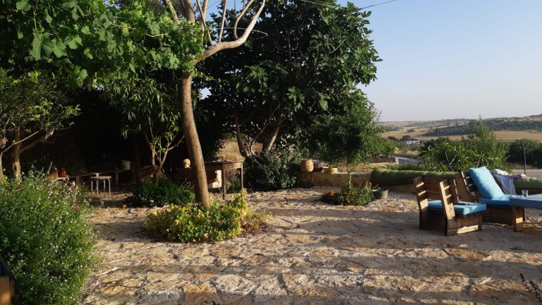 The house and the garden